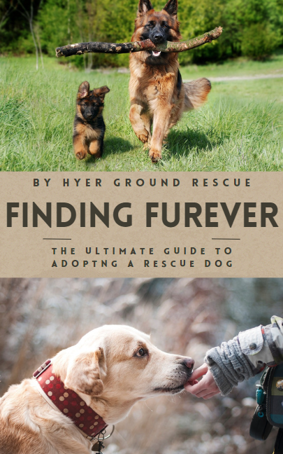 Finding Furever